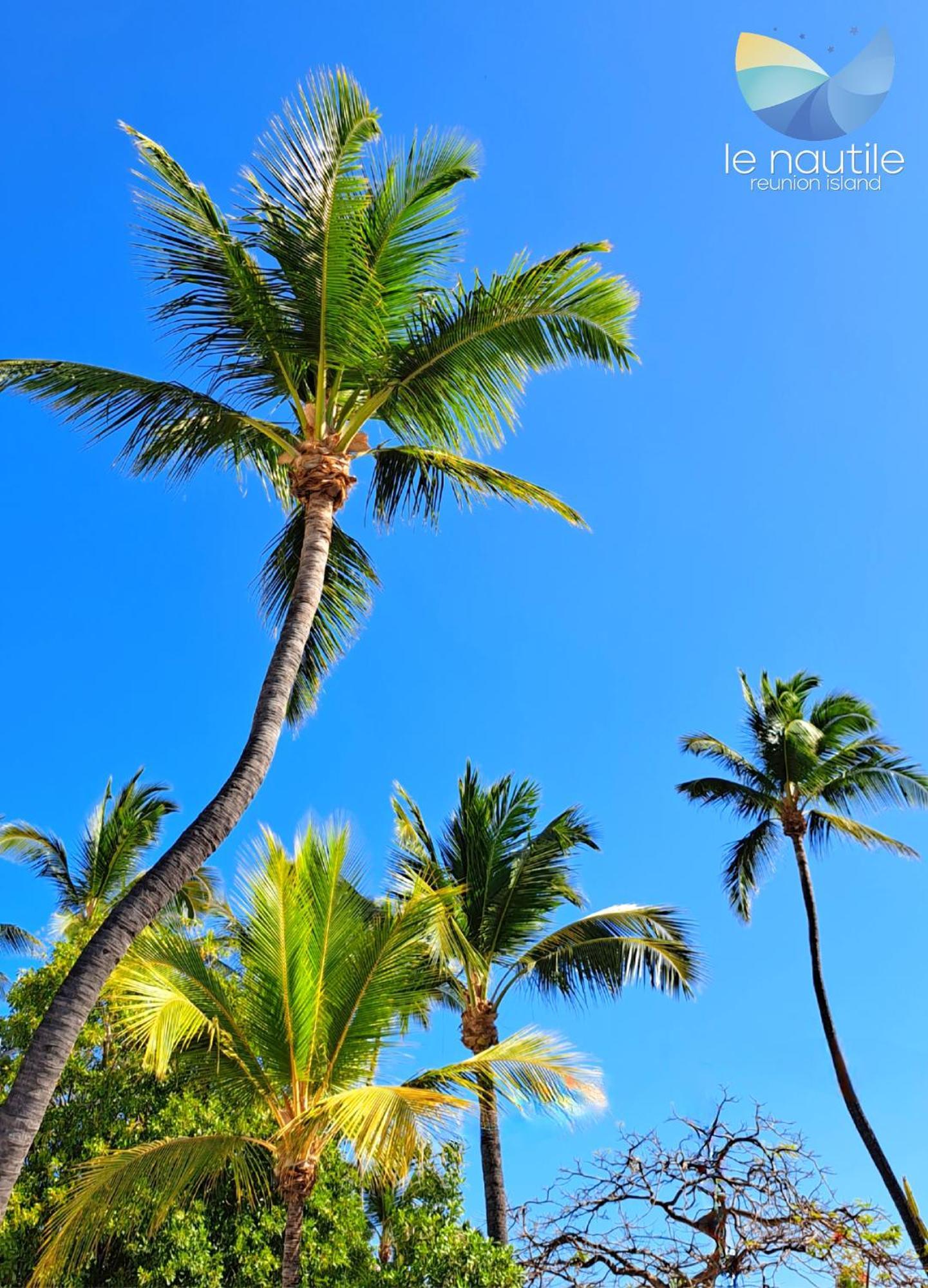Le Nautile Beachfront サンジルレバン エクステリア 写真